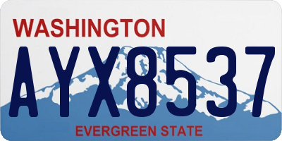 WA license plate AYX8537