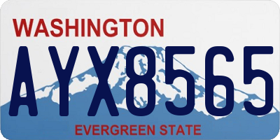 WA license plate AYX8565