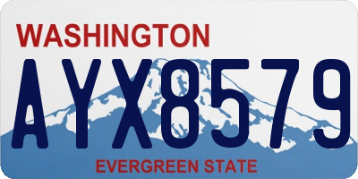 WA license plate AYX8579