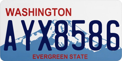 WA license plate AYX8586