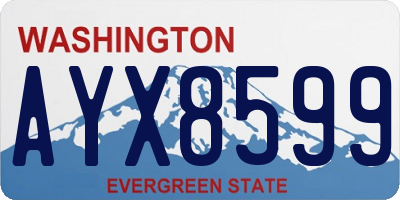 WA license plate AYX8599