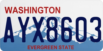 WA license plate AYX8603