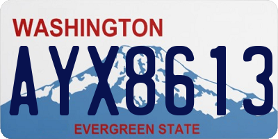 WA license plate AYX8613