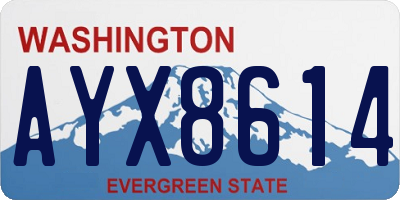 WA license plate AYX8614