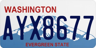 WA license plate AYX8677