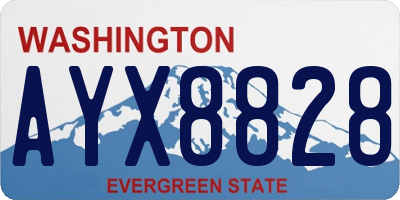 WA license plate AYX8828