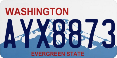 WA license plate AYX8873