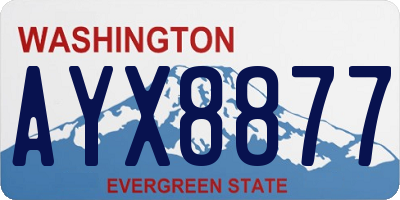 WA license plate AYX8877