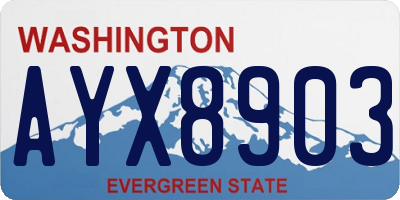 WA license plate AYX8903