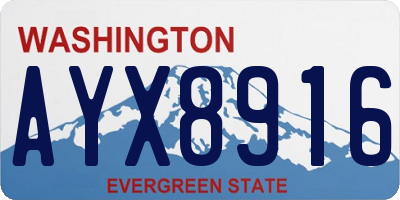 WA license plate AYX8916