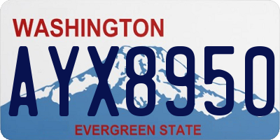 WA license plate AYX8950