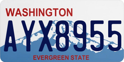 WA license plate AYX8955