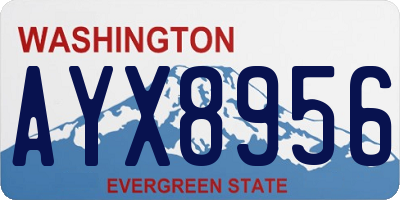 WA license plate AYX8956