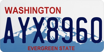 WA license plate AYX8960