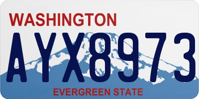 WA license plate AYX8973