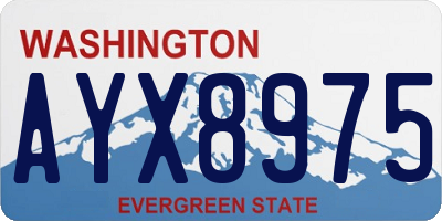 WA license plate AYX8975