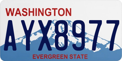 WA license plate AYX8977