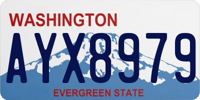 WA license plate AYX8979