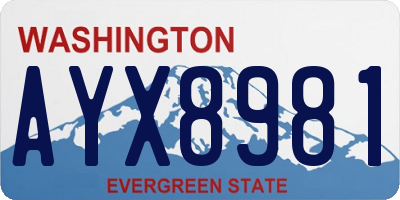 WA license plate AYX8981