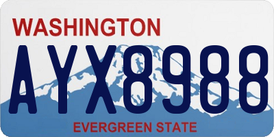 WA license plate AYX8988