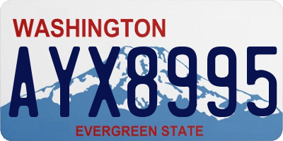 WA license plate AYX8995