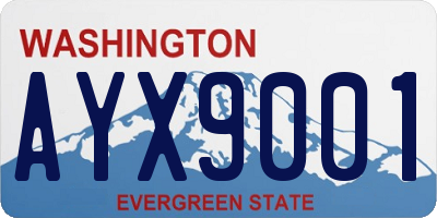 WA license plate AYX9001