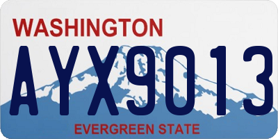 WA license plate AYX9013