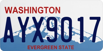 WA license plate AYX9017