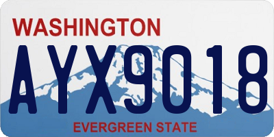 WA license plate AYX9018