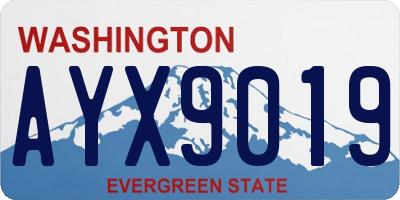 WA license plate AYX9019