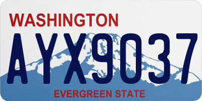 WA license plate AYX9037