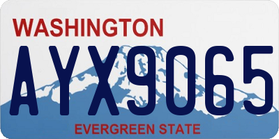 WA license plate AYX9065