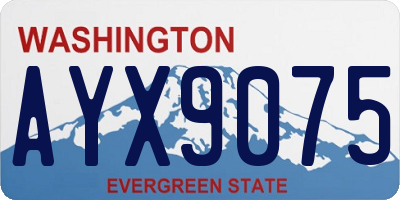 WA license plate AYX9075