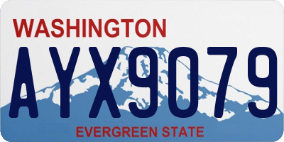 WA license plate AYX9079