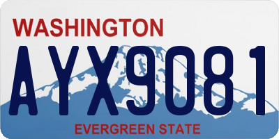 WA license plate AYX9081