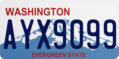 WA license plate AYX9099