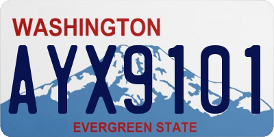 WA license plate AYX9101