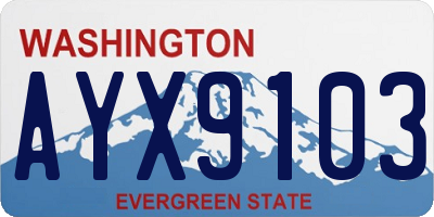 WA license plate AYX9103