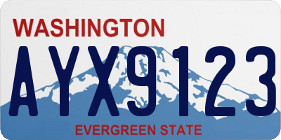 WA license plate AYX9123