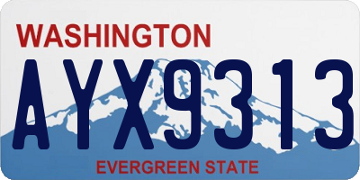 WA license plate AYX9313