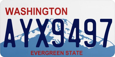 WA license plate AYX9497