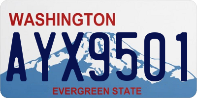 WA license plate AYX9501