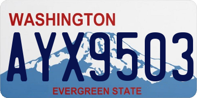 WA license plate AYX9503