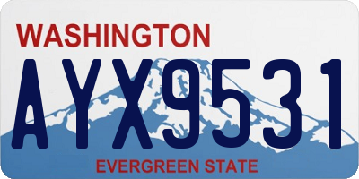 WA license plate AYX9531