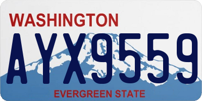 WA license plate AYX9559