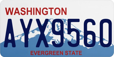 WA license plate AYX9560