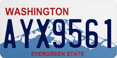 WA license plate AYX9561