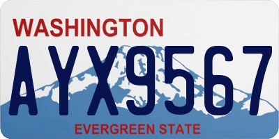 WA license plate AYX9567