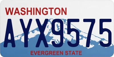 WA license plate AYX9575