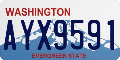 WA license plate AYX9591